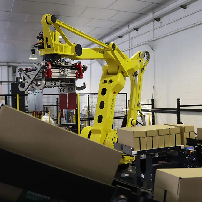 paletización con robot personalizado